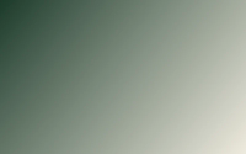 Team reviewing analytics dashboards for gambling player demographics research